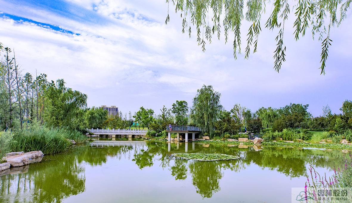 电竞比赛押注app