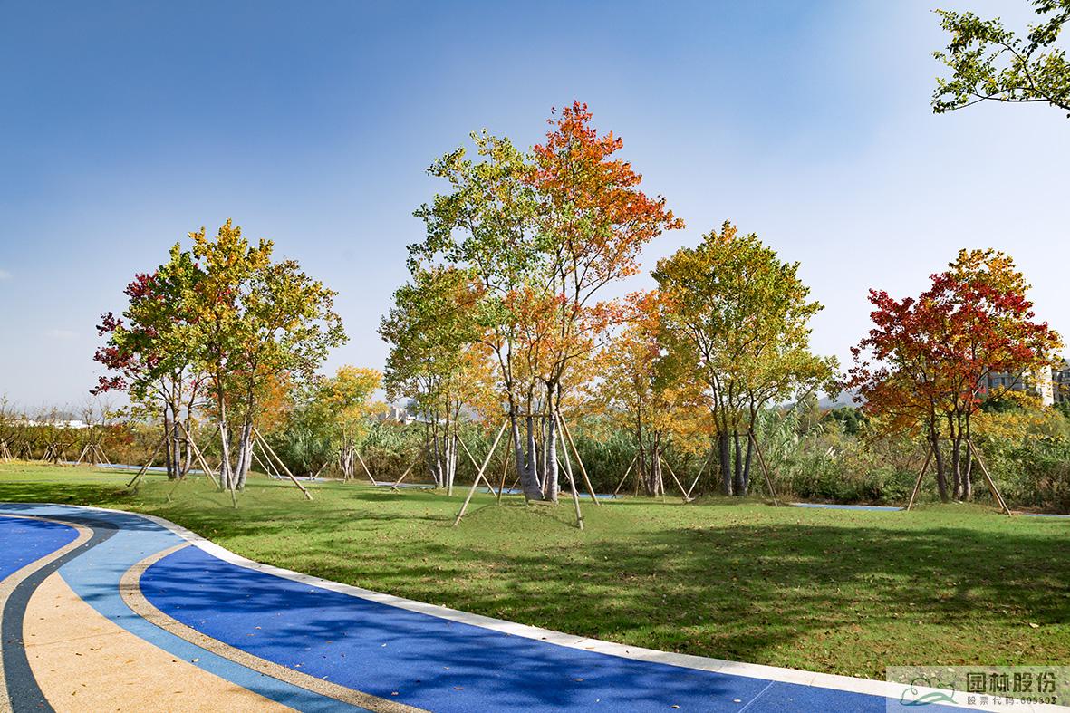 电竞比赛押注app