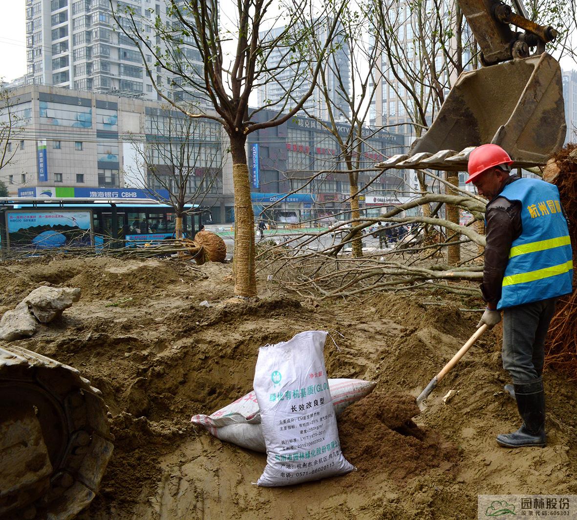 电竞比赛押注app