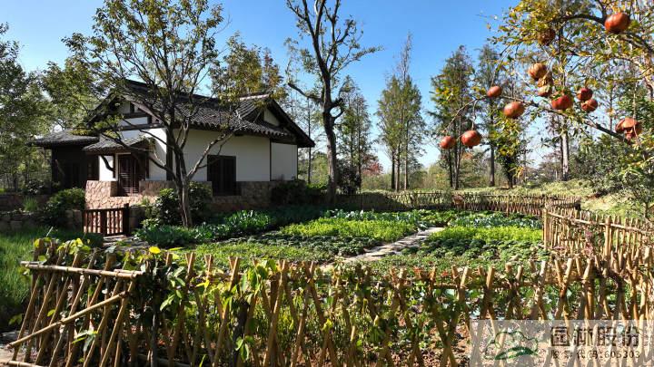 电竞比赛押注app