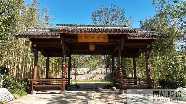 电竞比赛押注app