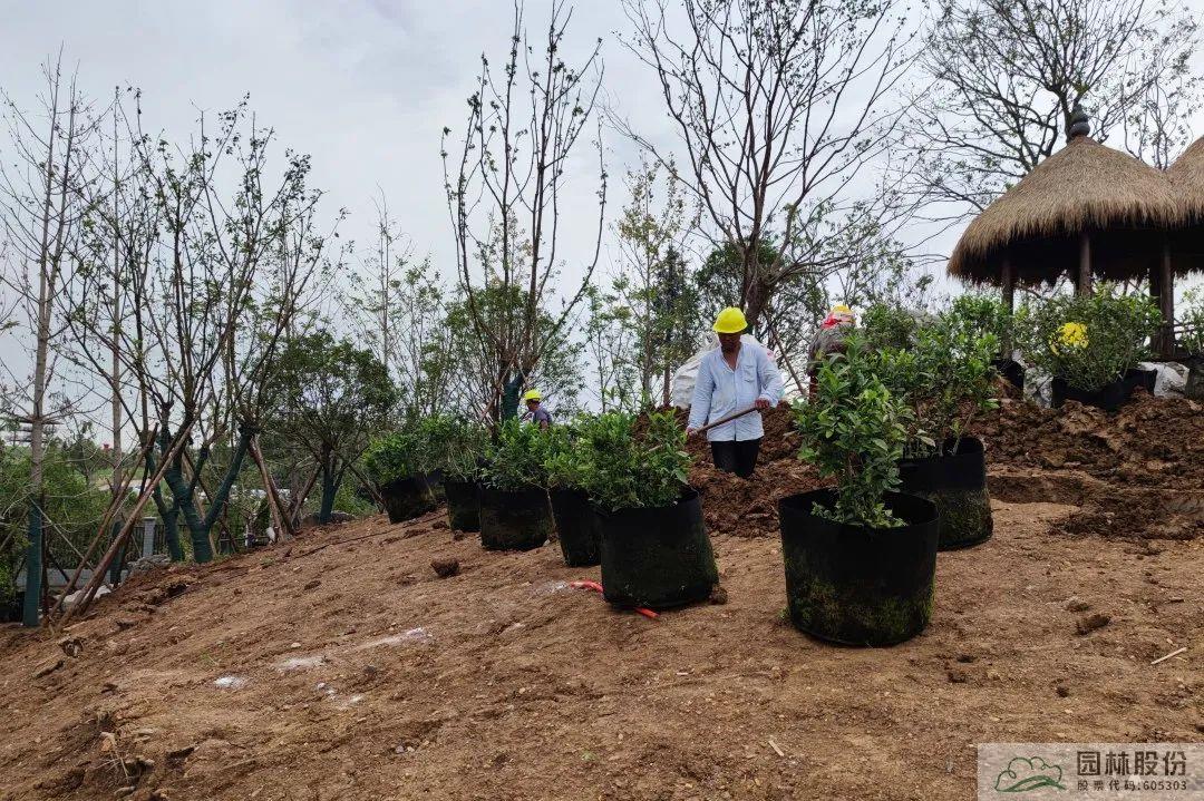 电竞比赛押注app