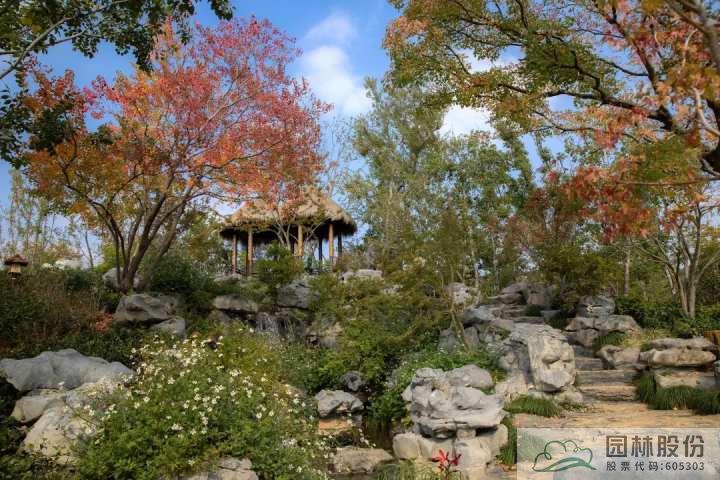 电竞比赛押注app