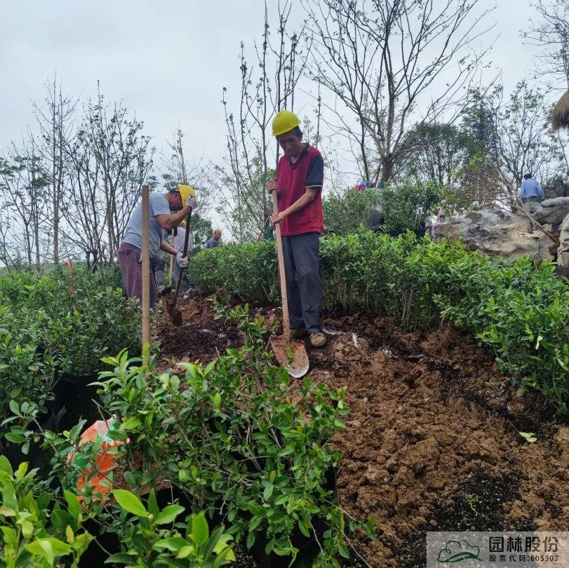电竞比赛押注app