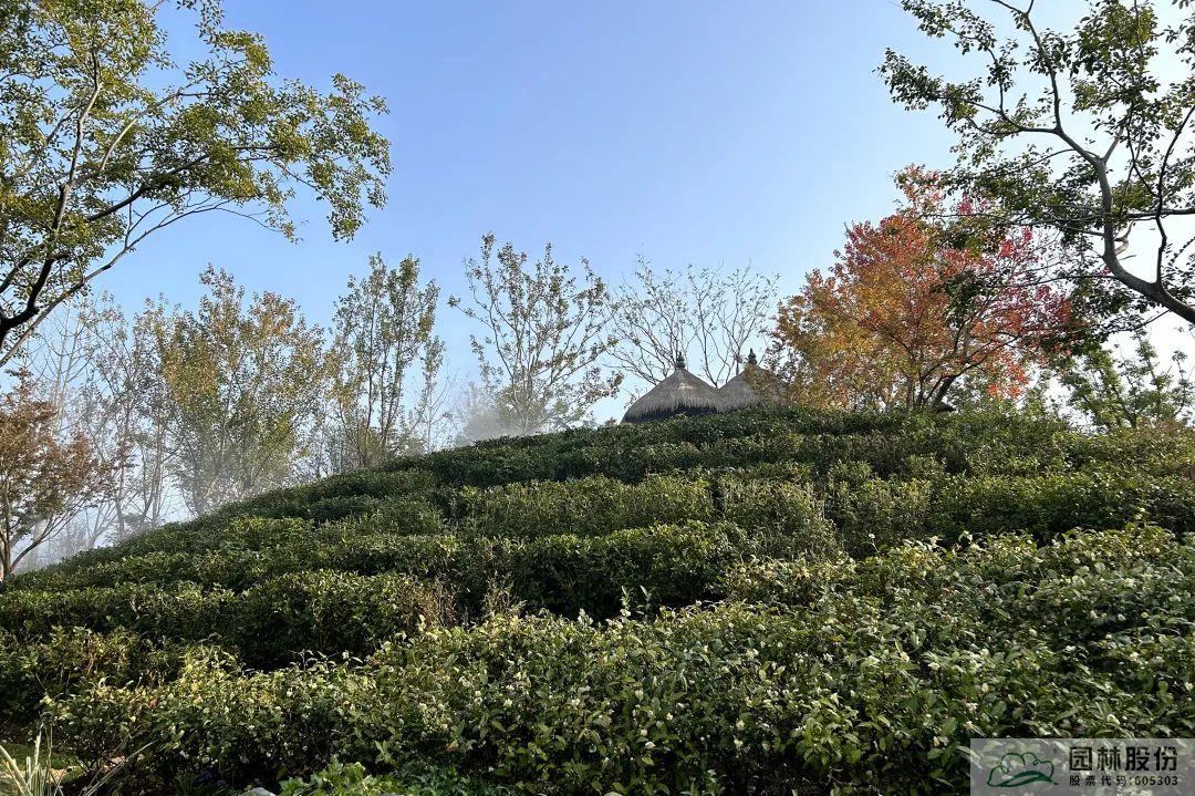 电竞比赛押注app