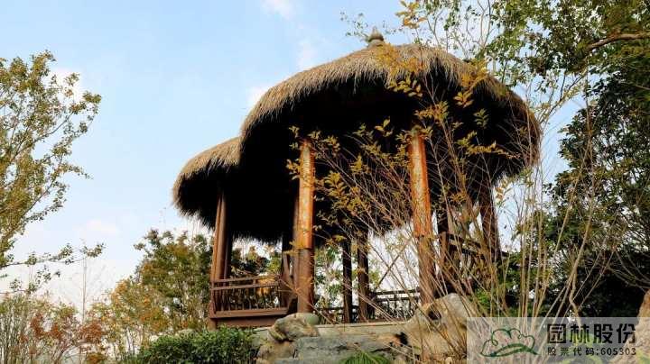 电竞比赛押注app