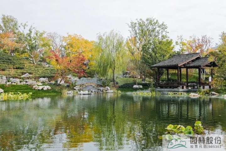 电竞比赛押注app