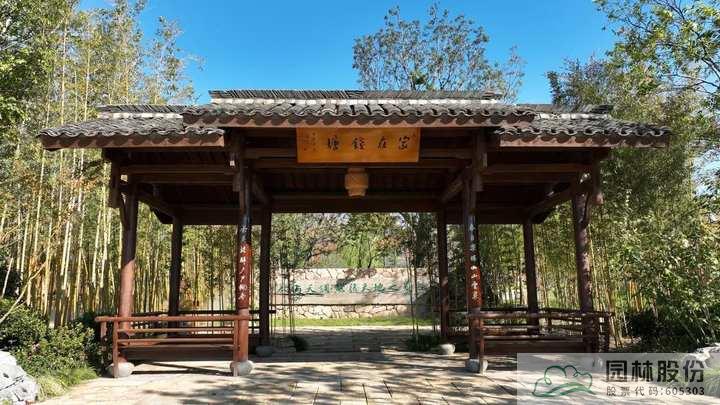 电竞比赛押注app