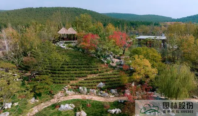 电竞比赛押注app