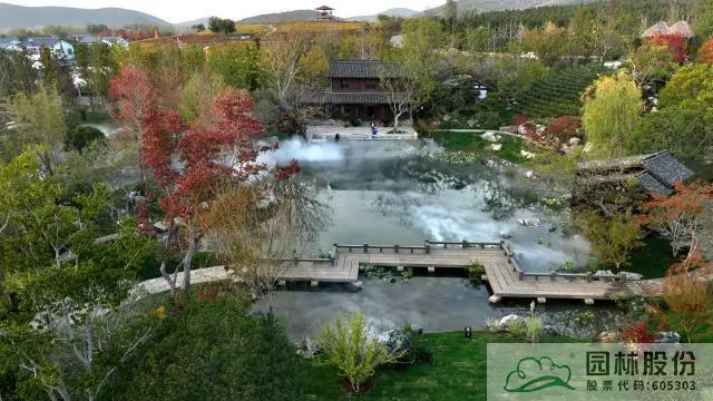 电竞比赛押注app