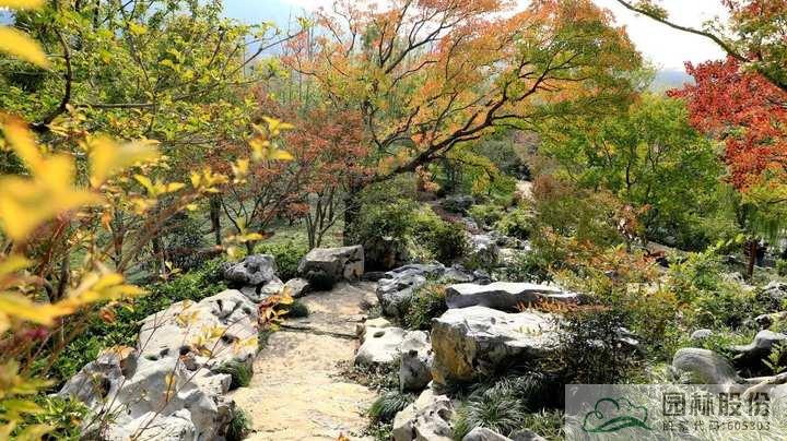 电竞比赛押注app