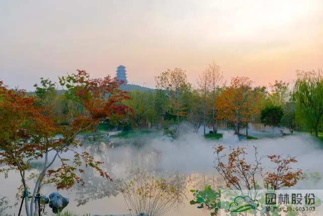 电竞比赛押注app