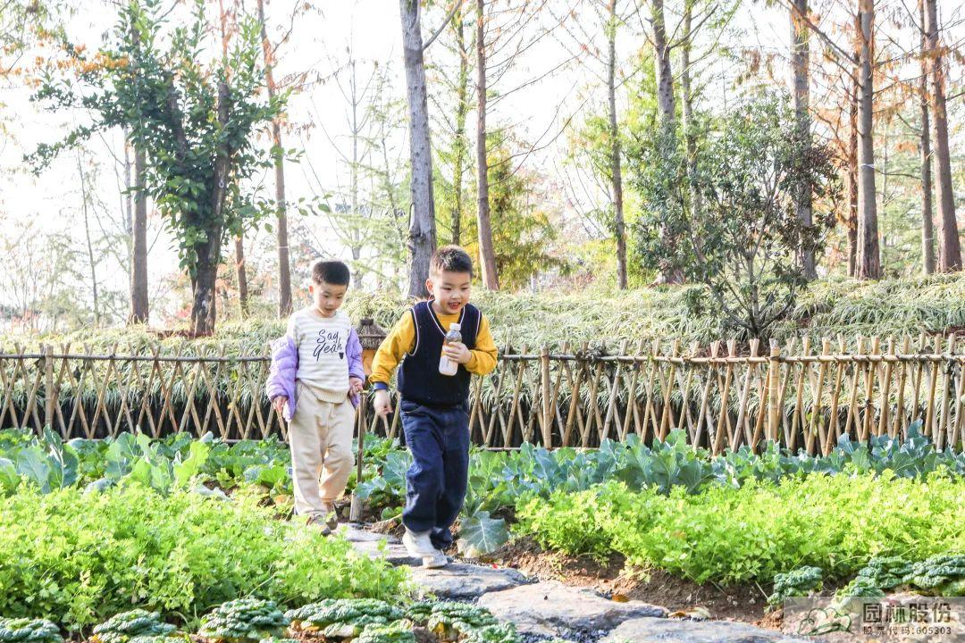 电竞比赛押注app