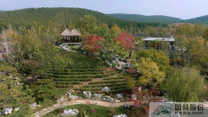 电竞比赛押注app