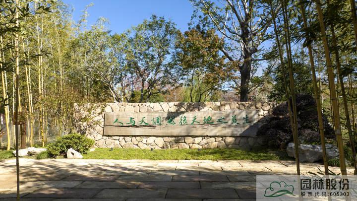 电竞比赛押注app