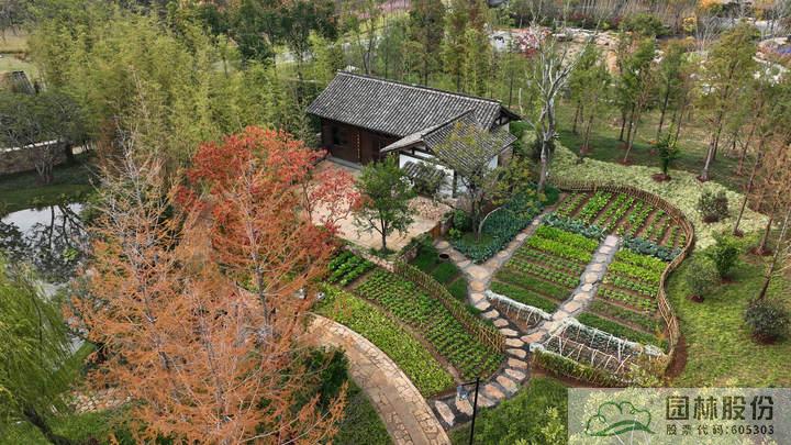 电竞比赛押注app