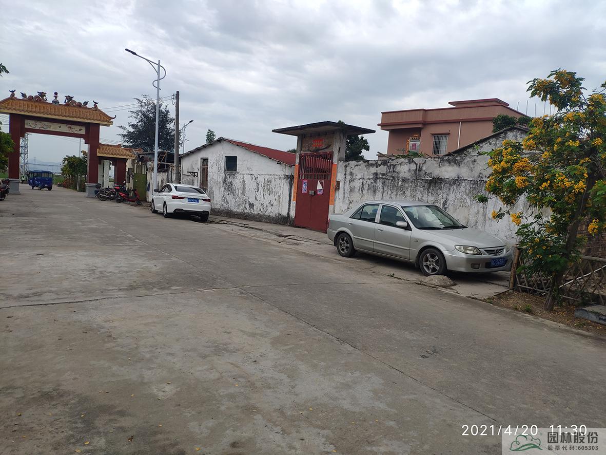 电竞比赛押注app