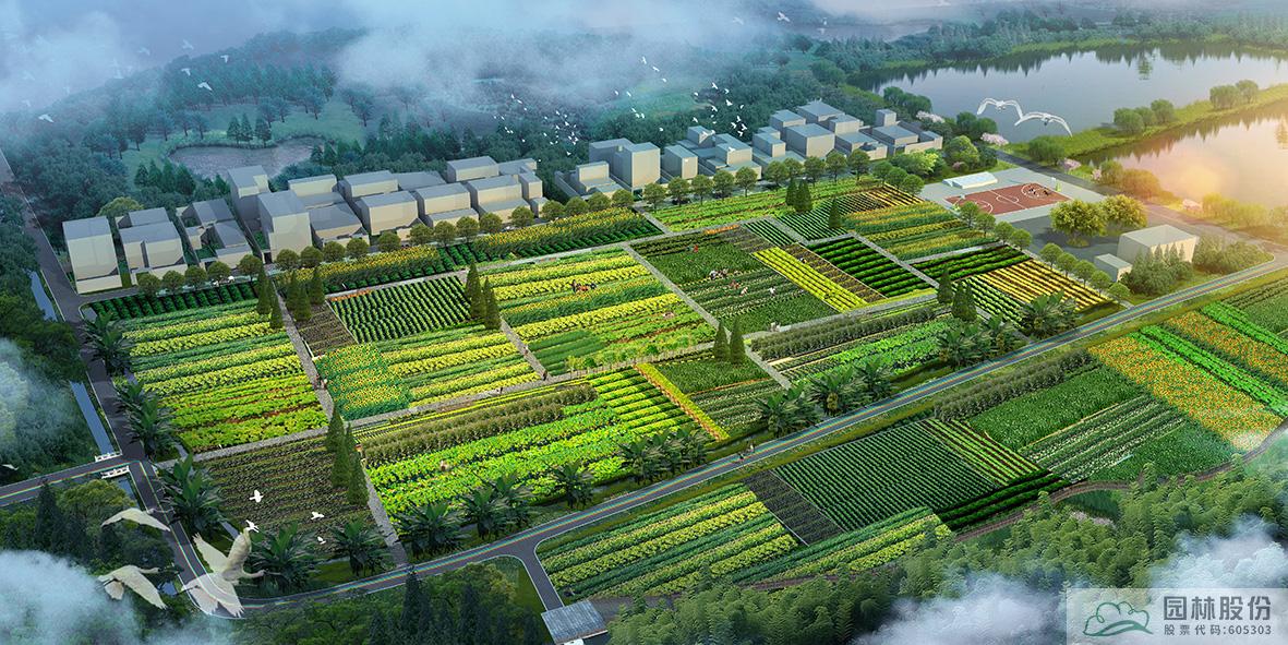 电竞比赛押注app