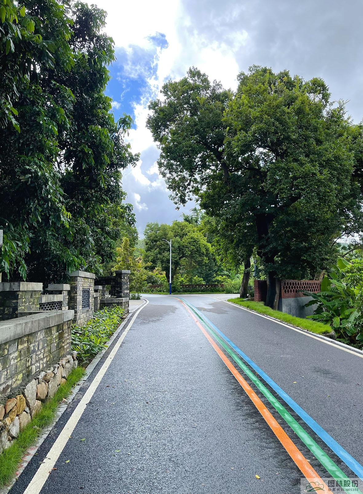 电竞比赛押注app