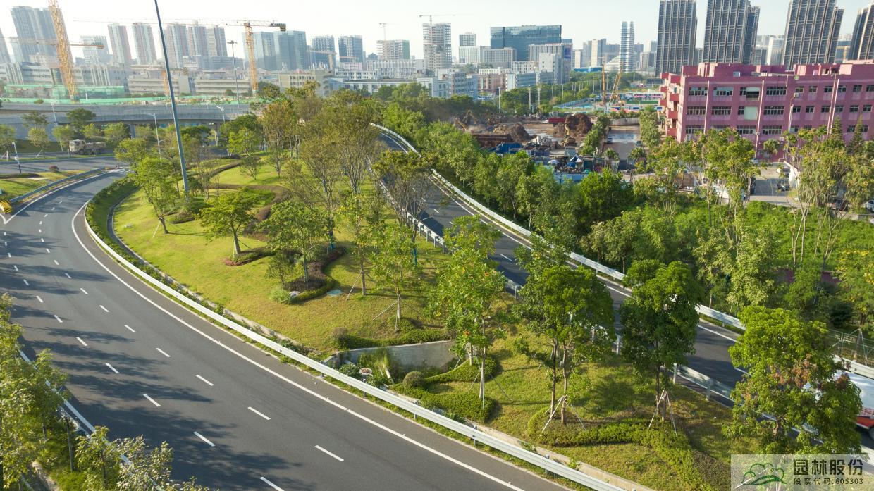 电竞比赛押注app