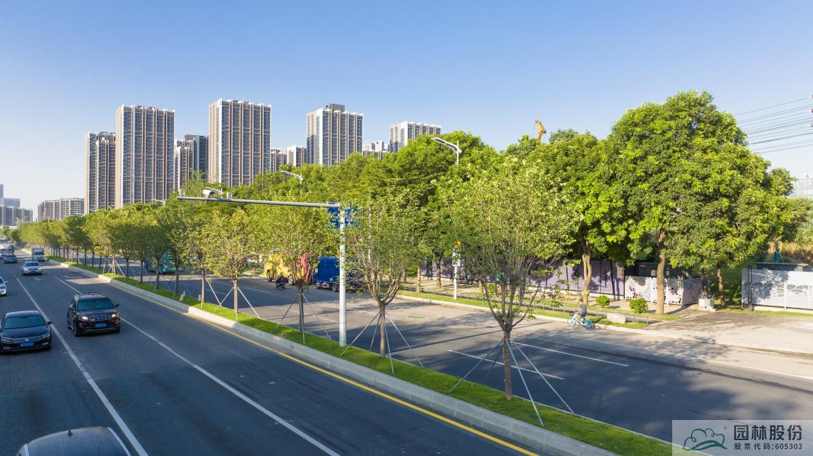 电竞比赛押注app