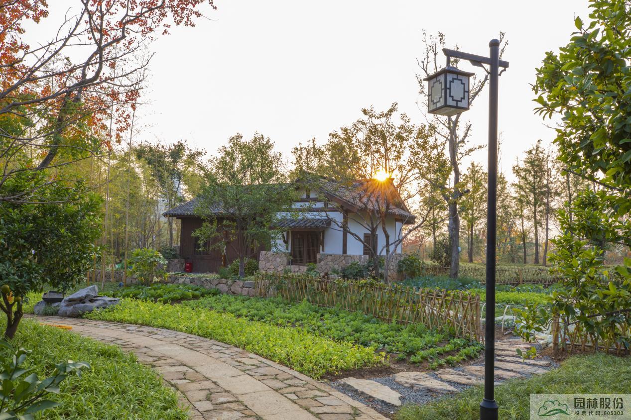 电竞比赛押注app