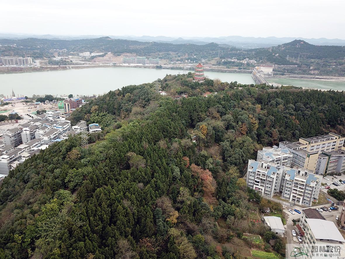 电竞比赛押注app