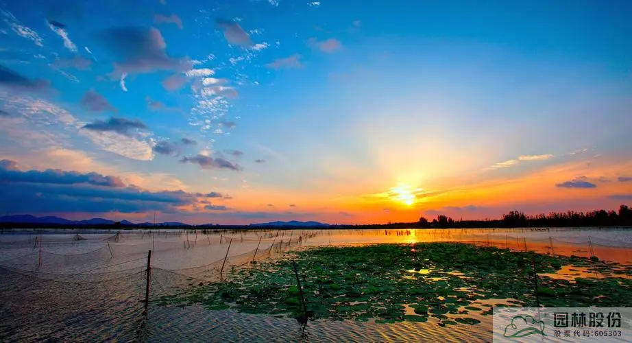 电竞比赛押注app