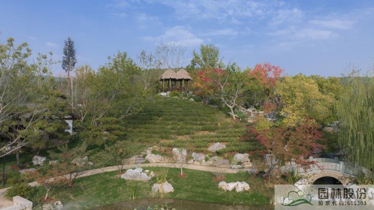 电竞比赛押注app