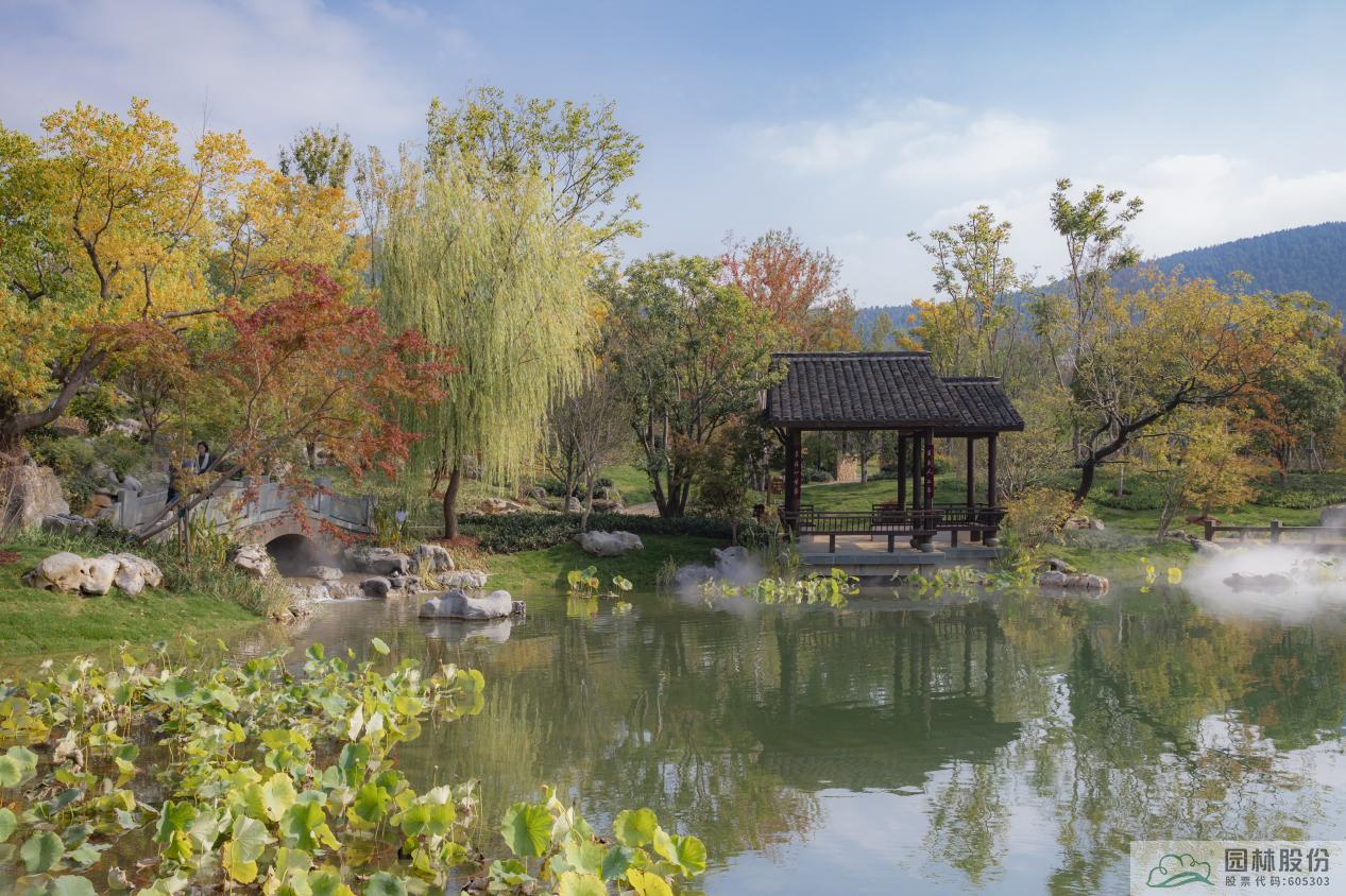 电竞比赛押注app