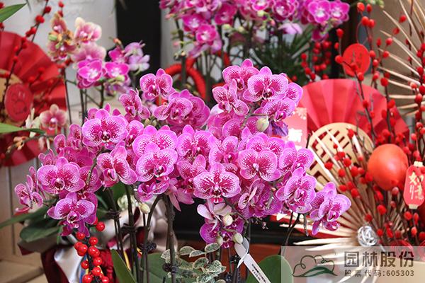 电竞比赛押注app