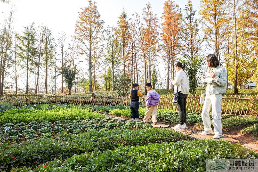 电竞比赛押注app