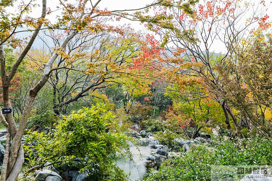 电竞比赛押注app