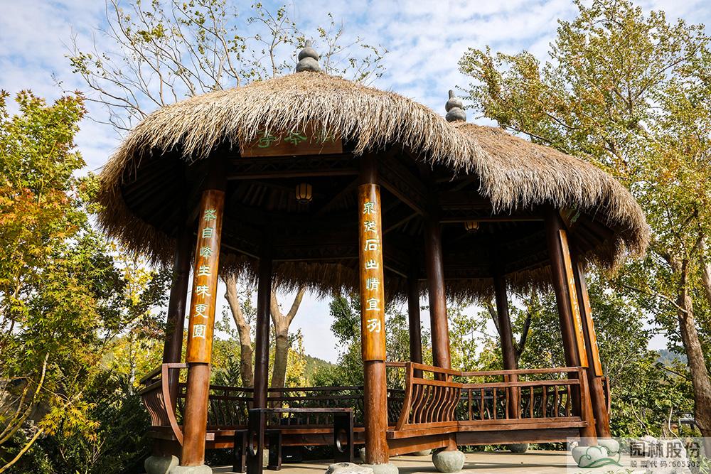 电竞比赛押注app