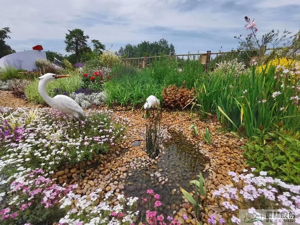 电竞比赛押注app