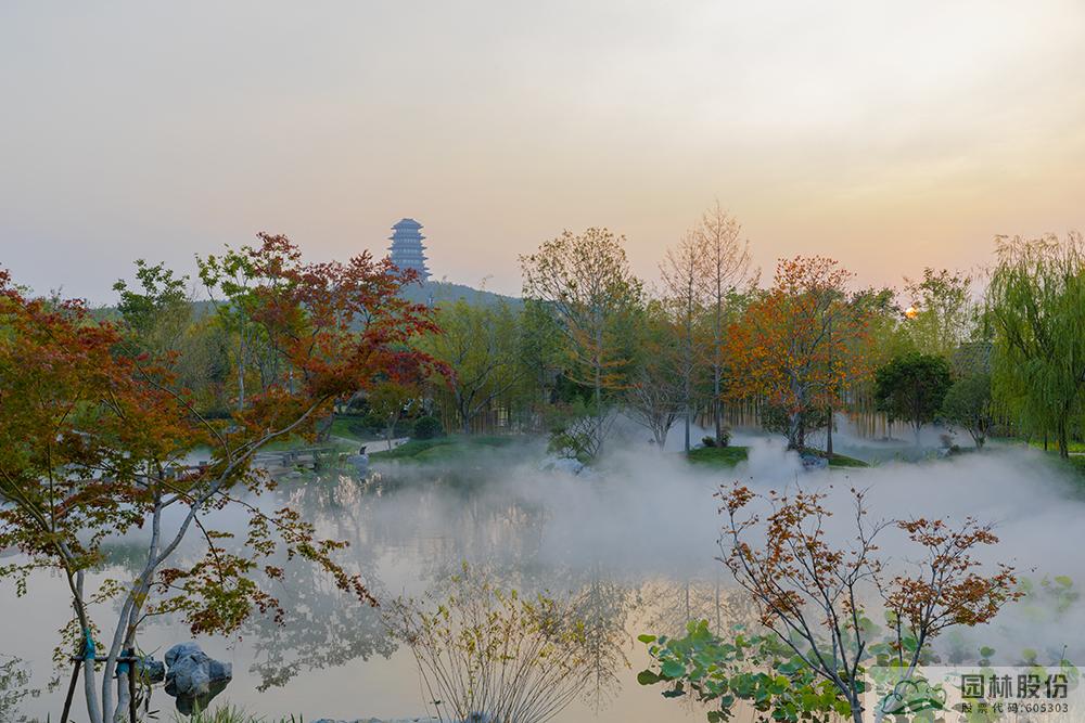 电竞比赛押注app