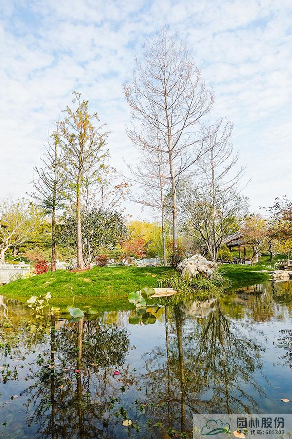 电竞比赛押注app