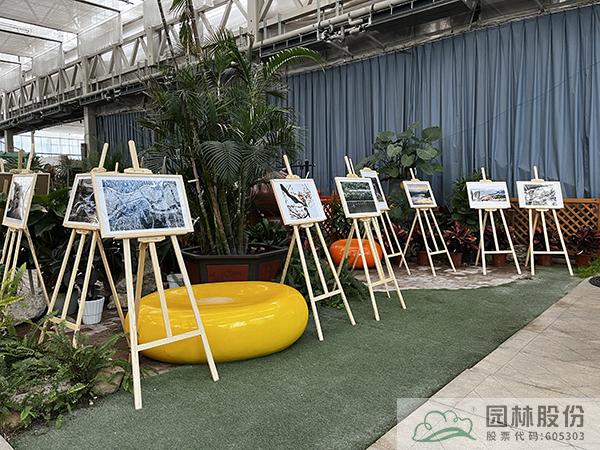 电竞比赛押注app