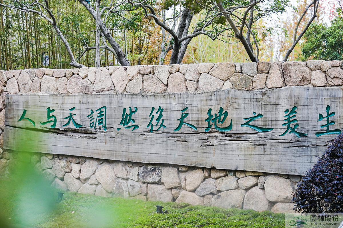 电竞比赛押注app