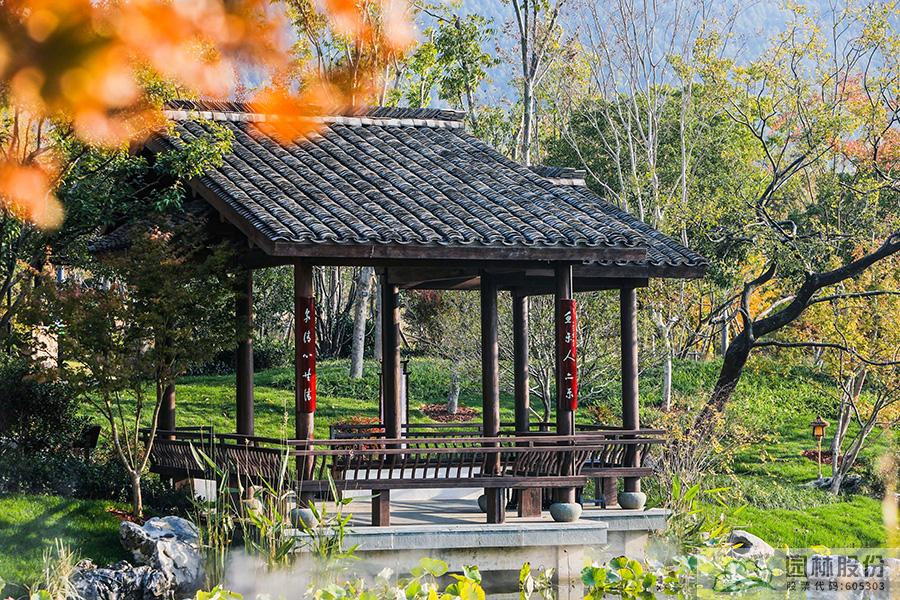 电竞比赛押注app