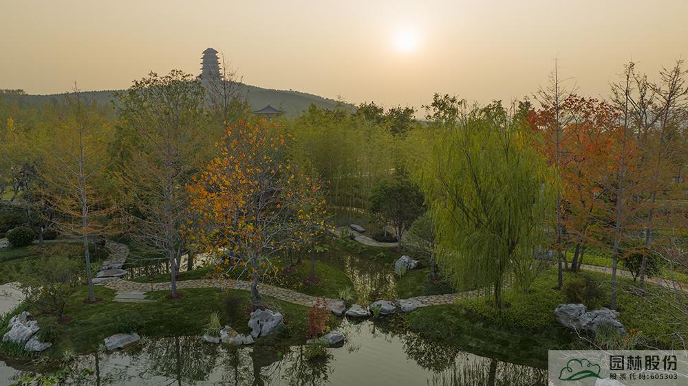 电竞比赛押注app