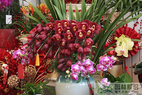 电竞比赛押注app