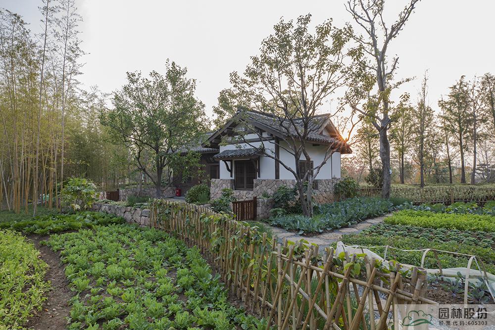 电竞比赛押注app