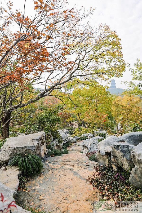 电竞比赛押注app