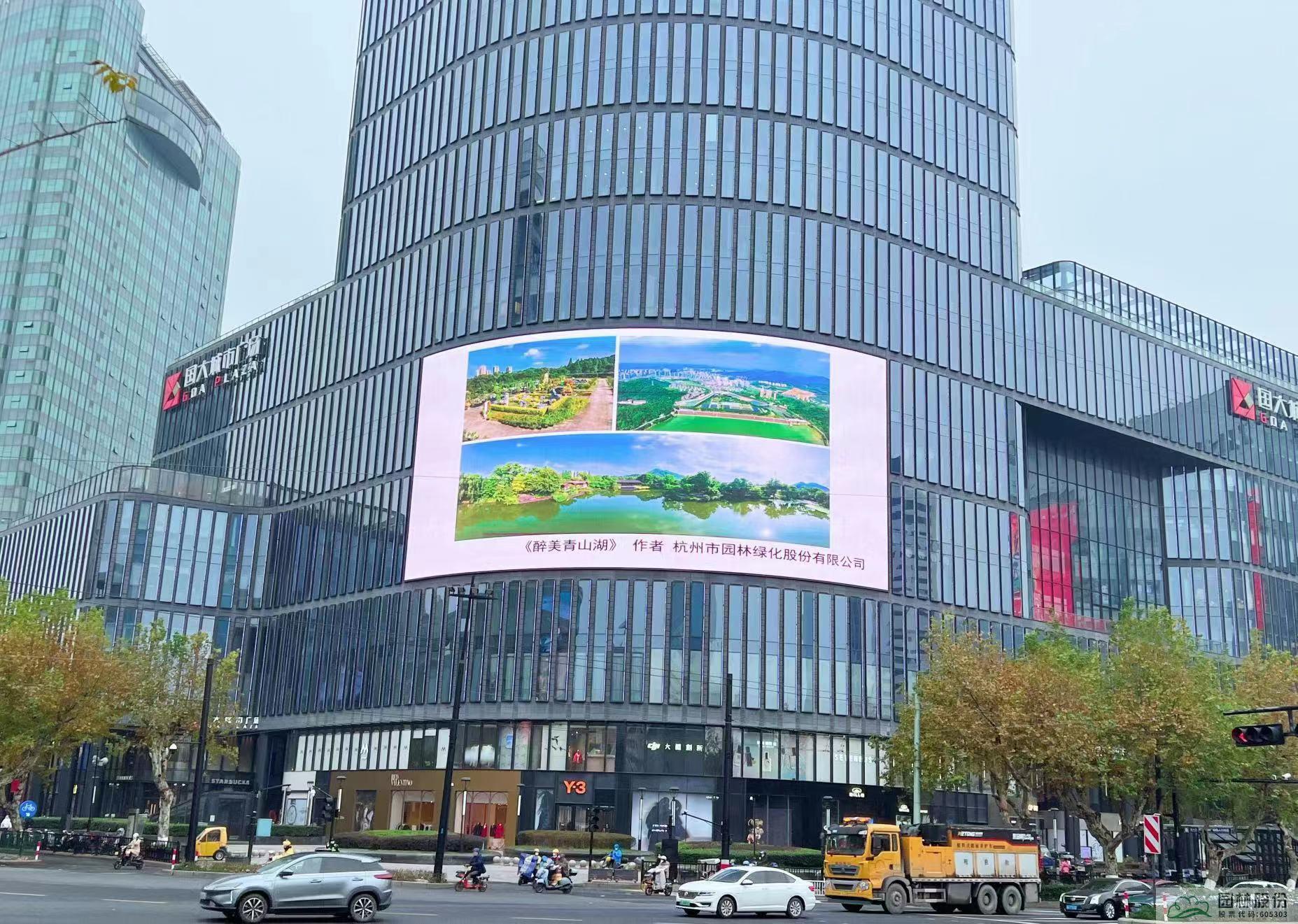 电竞比赛押注app