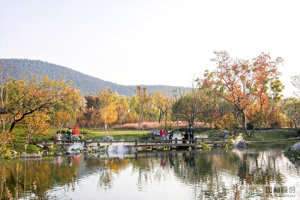 电竞比赛押注app