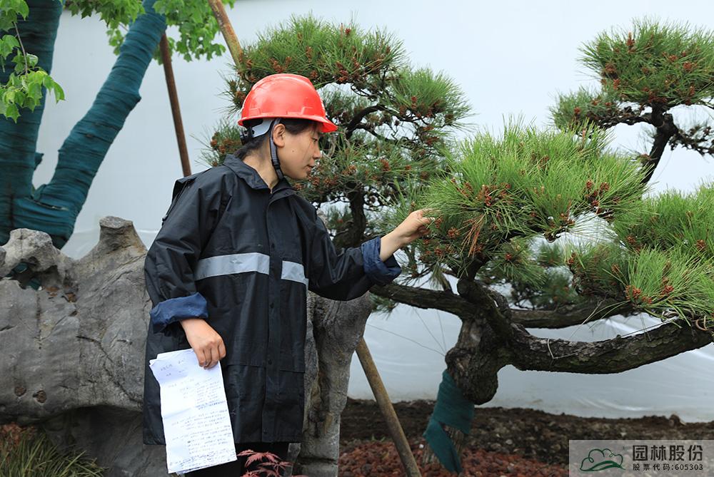 电竞比赛押注app