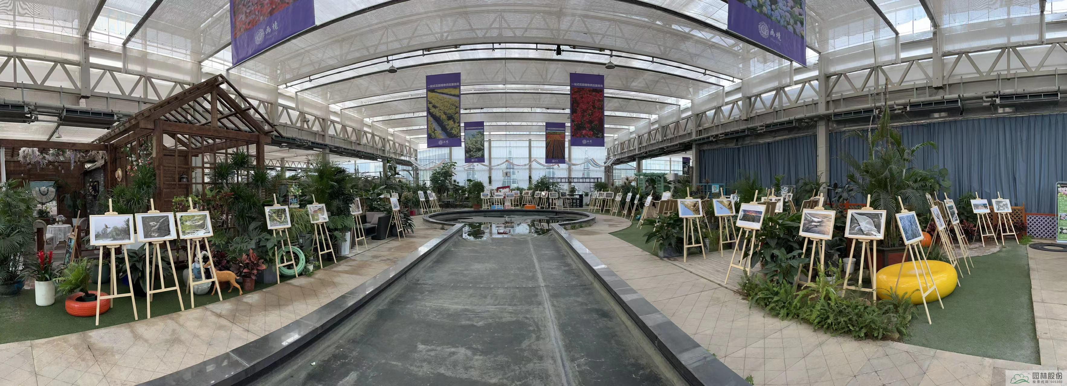 电竞比赛押注app