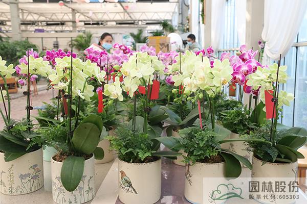 电竞比赛押注app