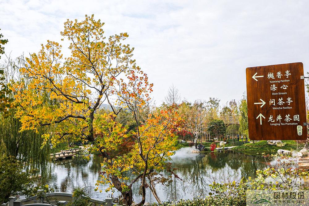 电竞比赛押注app